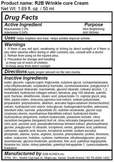 Label (Drug Facts   R2b Wrinkle Cure Cream)